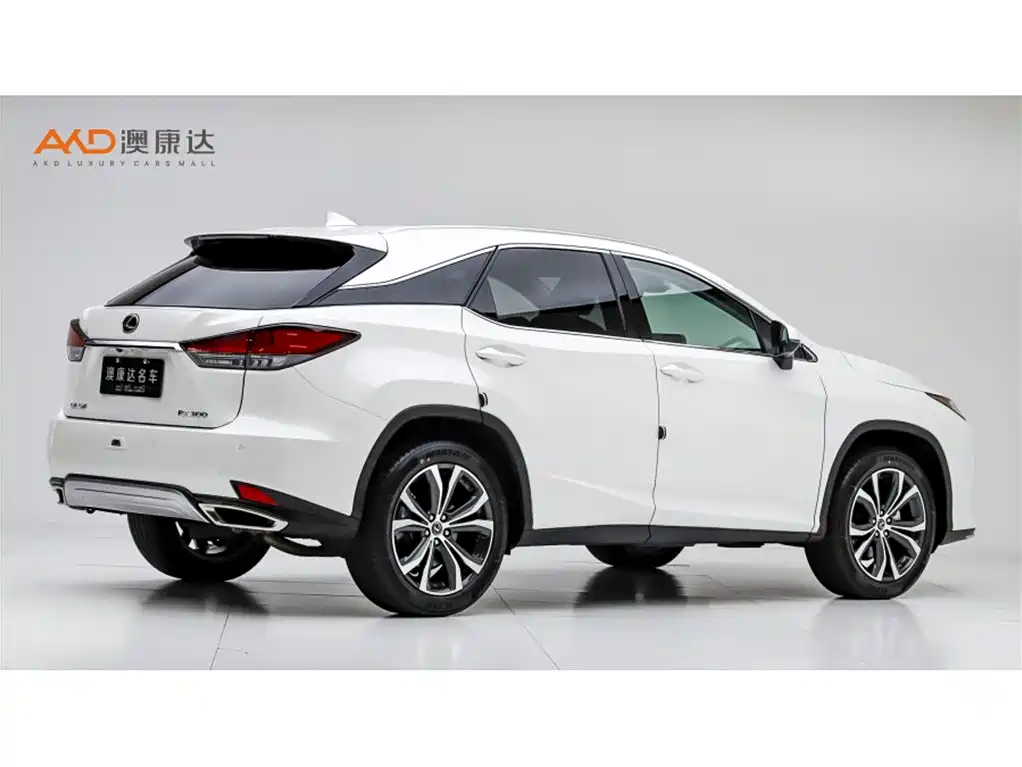 Lexus RX 雷克萨斯RX2020款 改款 450 h 四驱典雅版