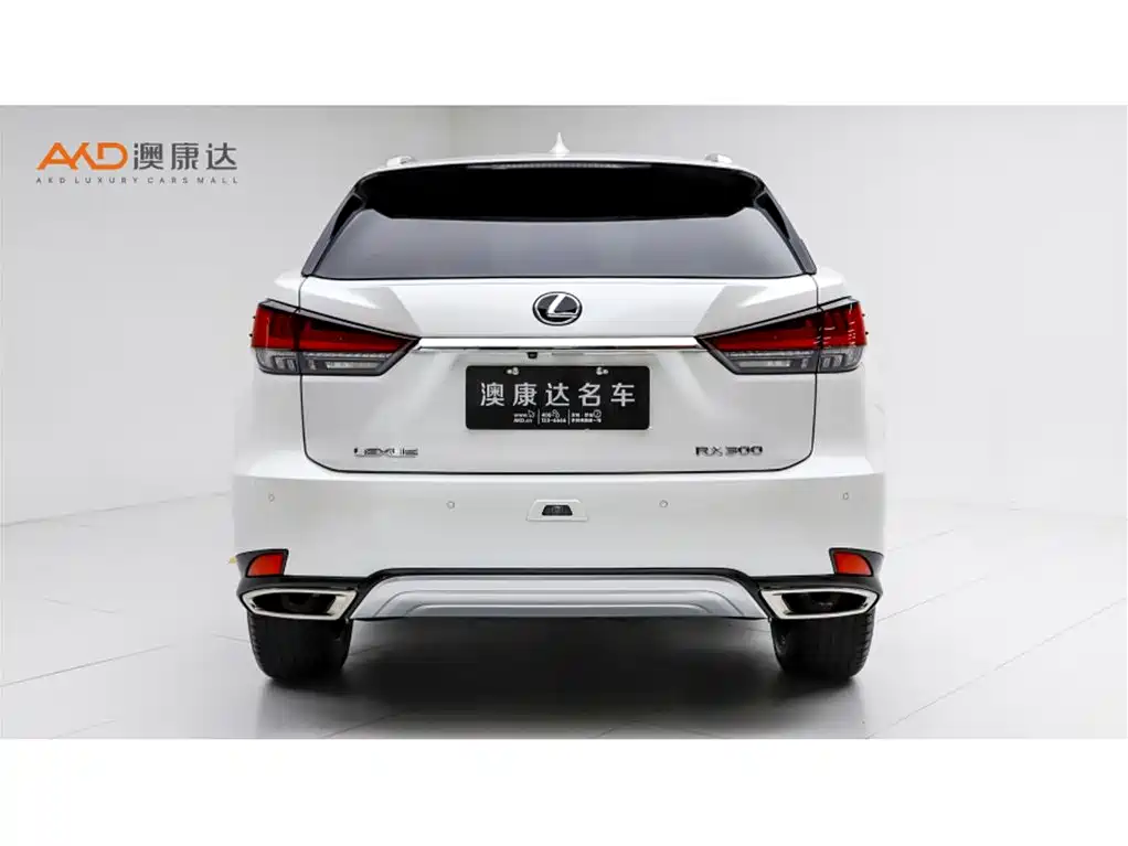 Lexus RX 雷克萨斯RX2020款 改款 450 h 四驱典雅版
