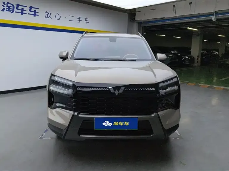 Wuling 星光560新能源 星光560新能源 2026款 插混 125 km 豪华型