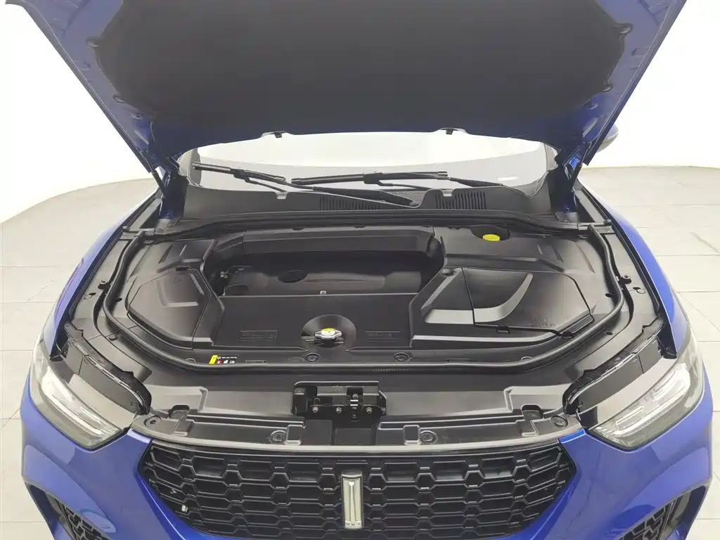 WEY VV5 2.0 T Super Luxury
