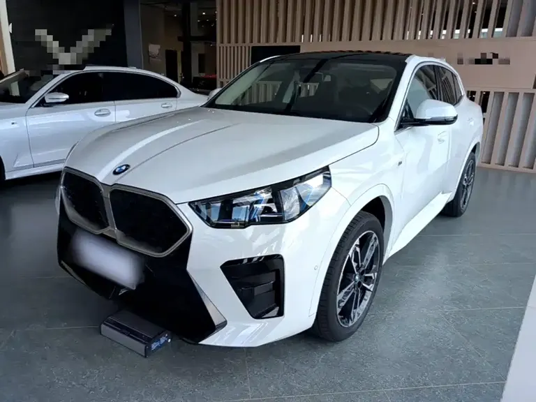 BMW X2 (Import) sDrive25 i M Sport Package