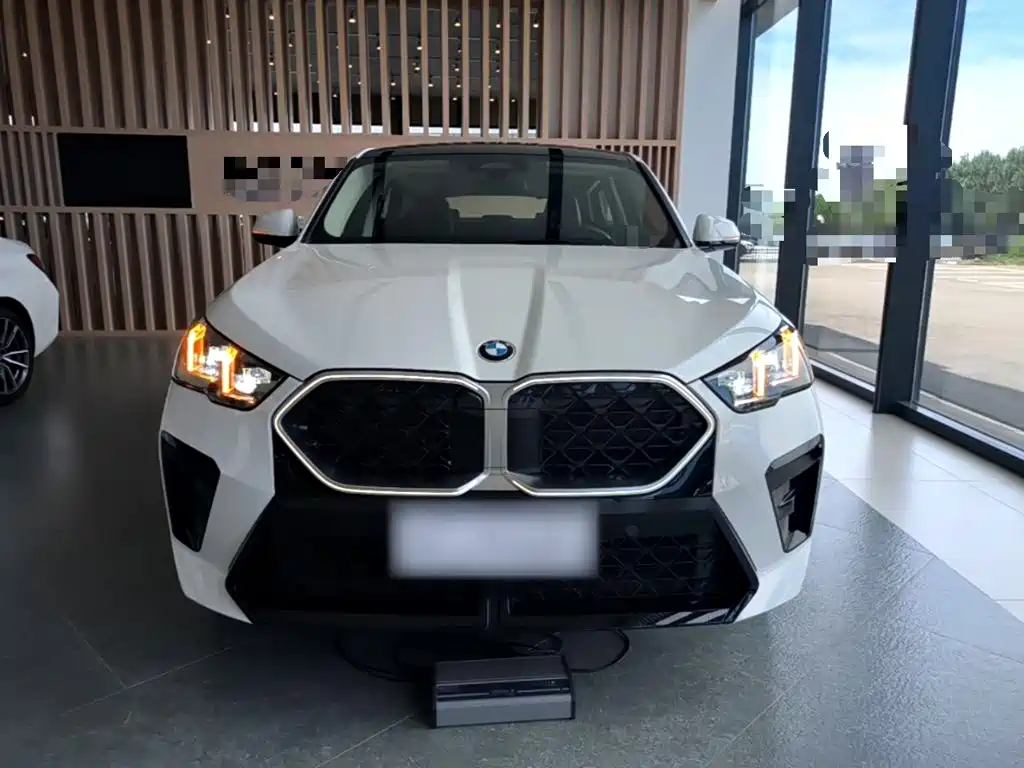 BMW X2 (Import) sDrive25 i M Sport Package