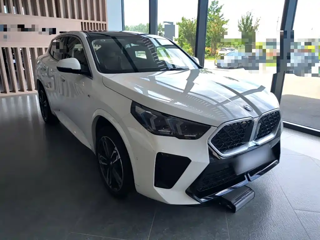 BMW X2 (Import) sDrive25 i M Sport Package