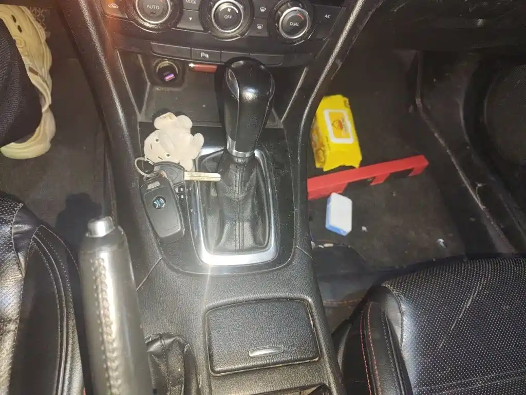Atenza 2.5 L Blue Sky Sport