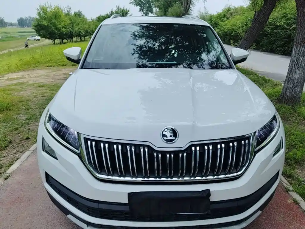 Kodiaq TSI330 7-seat 2 WD Luxury Enjoyment