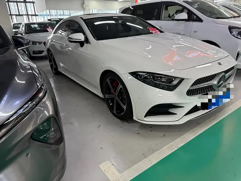 Mercedes-Benz CLS CLS 300 Dynamic