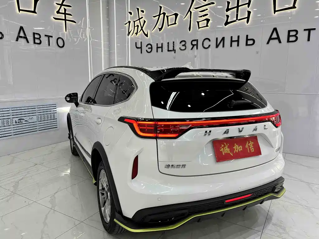 Haval Chitu Power Enjoyment 1.5 T Bronze Rabbit
