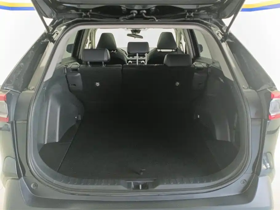 Wildlander 2.0 L CVT 4 WD Luxury