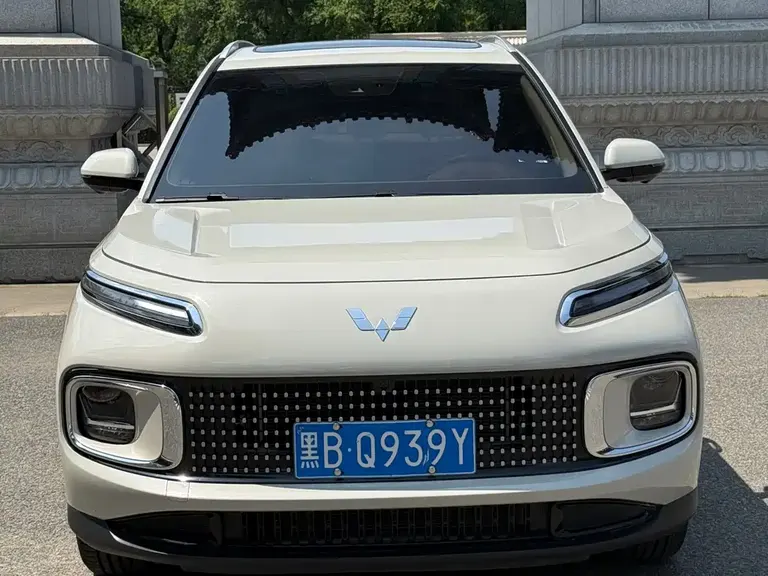 Wuling Xingyun 五菱星云 2023款 2.0 L DHT 旗舰版