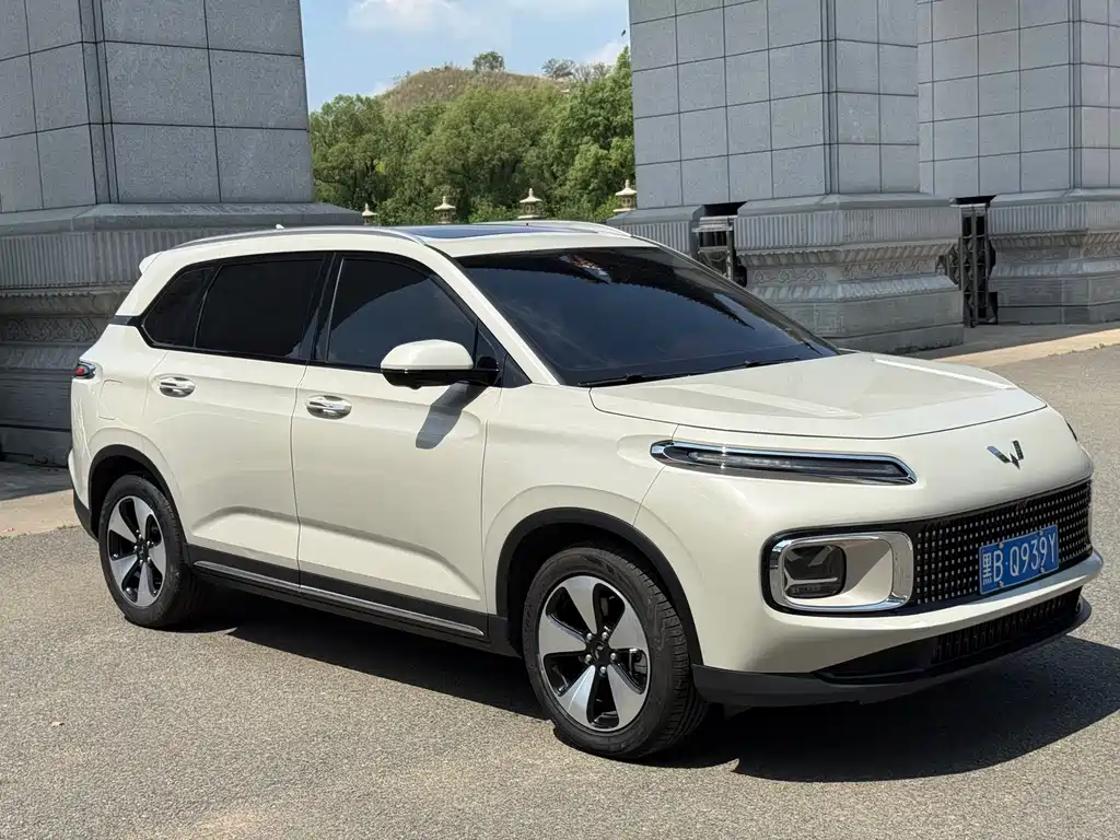 Wuling Xingyun 五菱星云 2023款 2.0 L DHT 旗舰版