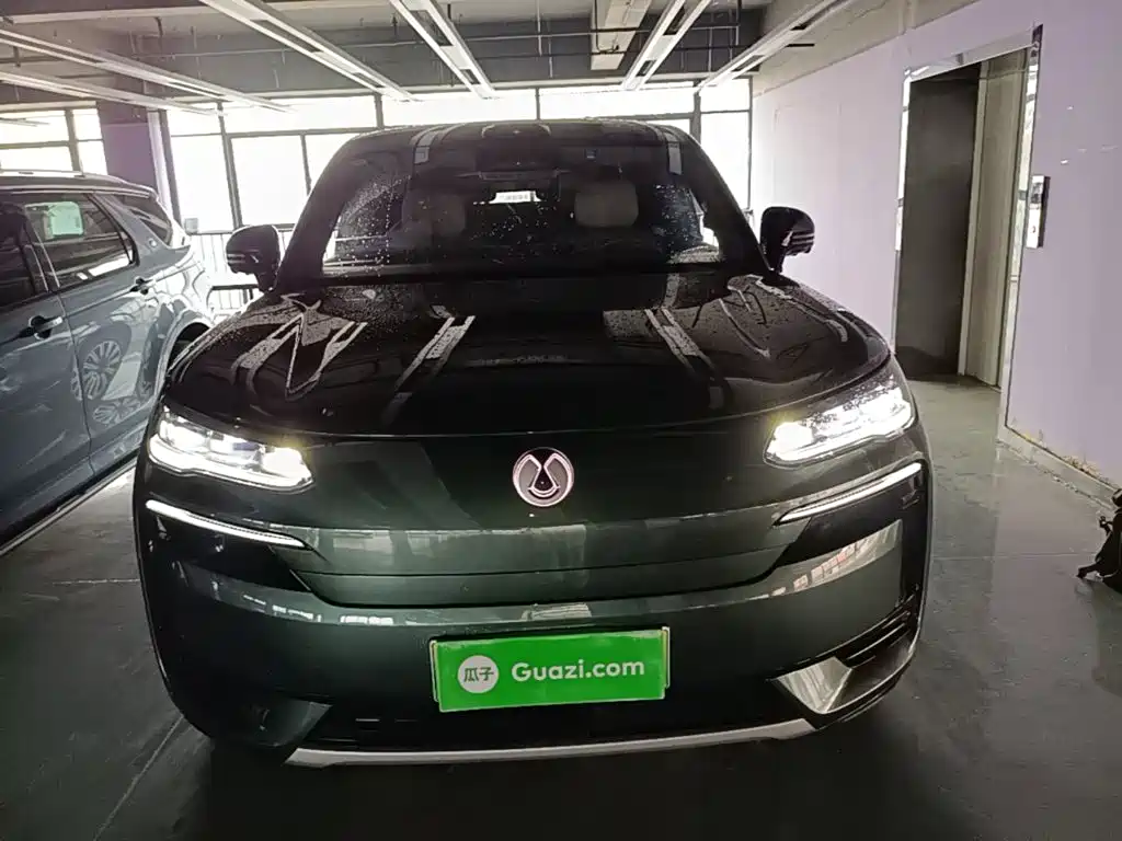 Denza N9 Flagship