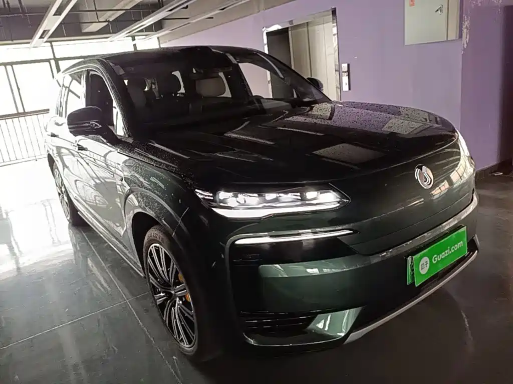 Denza N9 Flagship