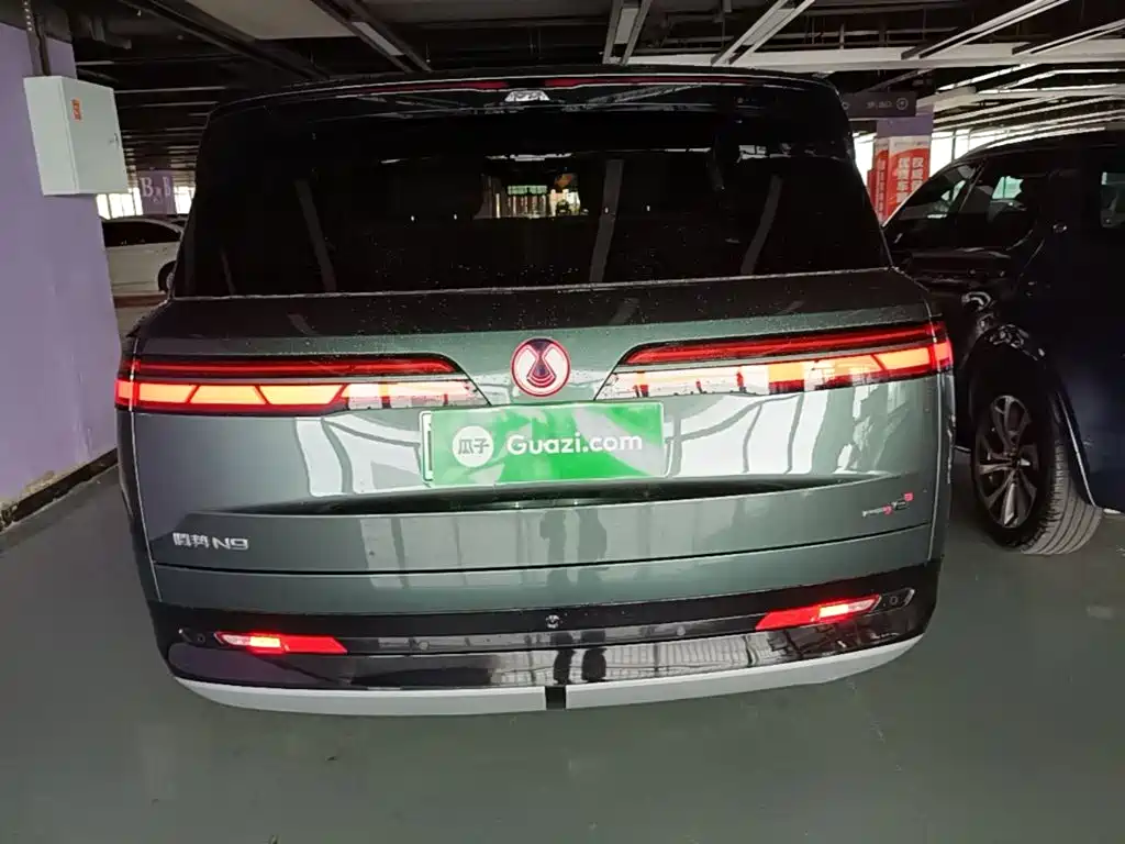Denza N9 Flagship