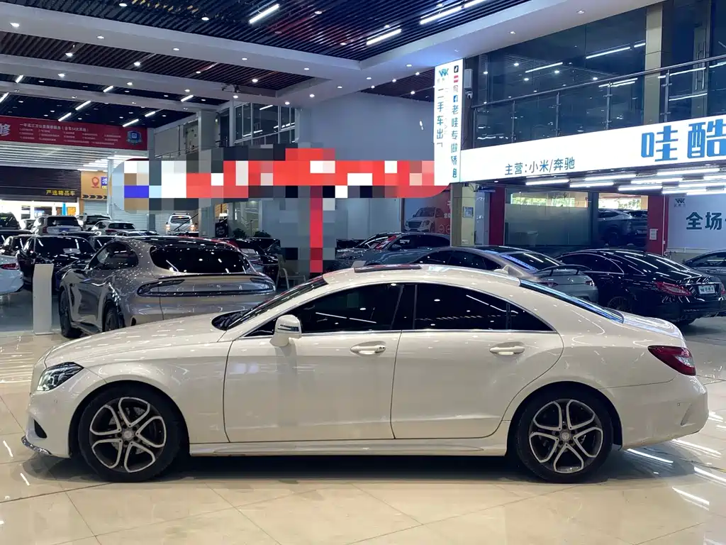 Mercedes-Benz CLS CLS 260 Colorful