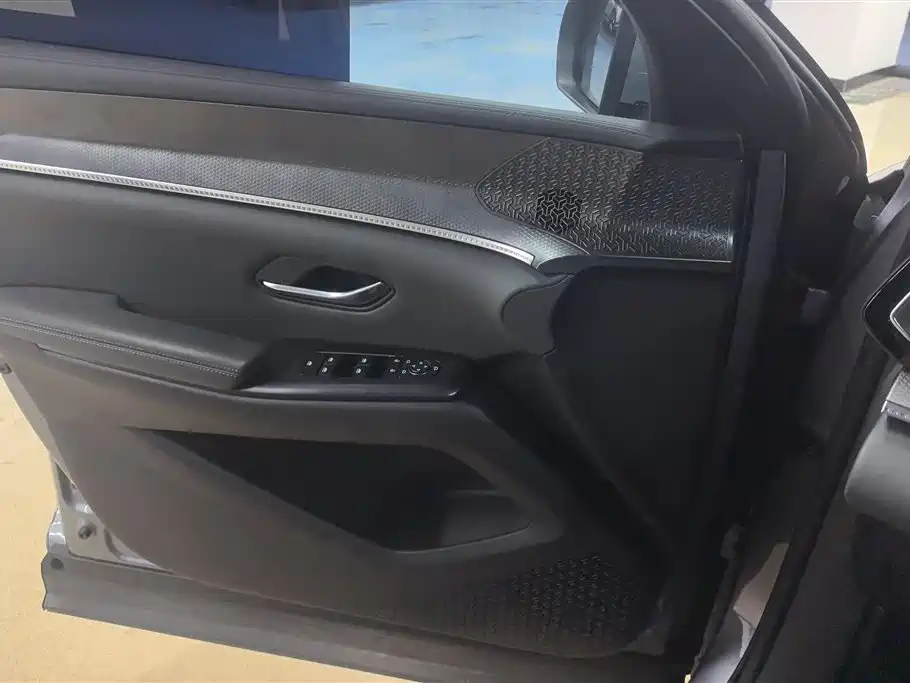 Song Pro NEV 2 nd Gen Smart Drive DM-i 75 KM Leading