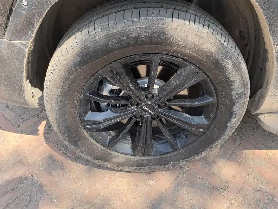 Haval Menglong NEV 哈弗猛龙新能源 2026款 Hi4 150 Ultra 三元锂
