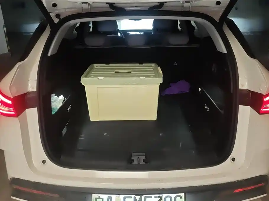 Seal 06 DM-i Wagon DM-i 150 KM Premium