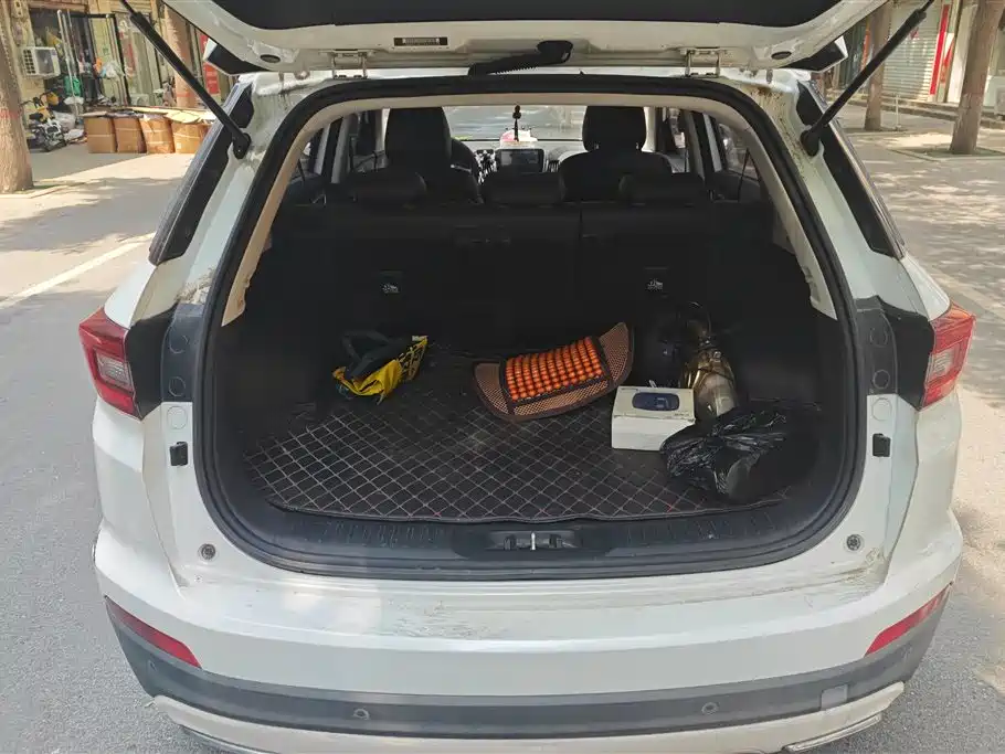 Changan CS55 1.5 T Manual Vivid Color