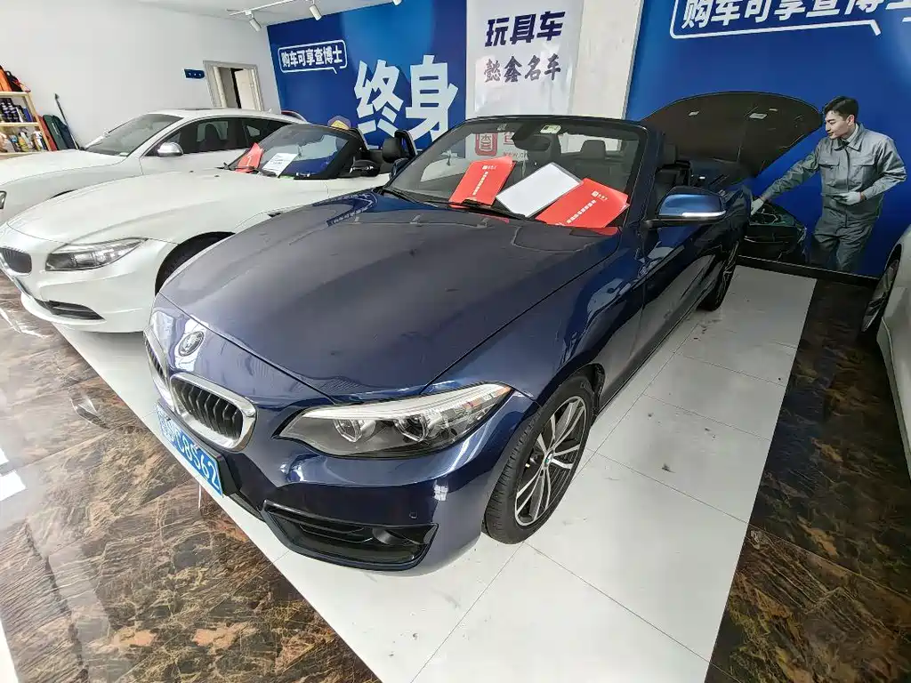 BMW 2 Series (Import) 220 i Convertible Coupe Sport Design Package