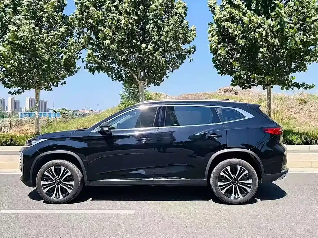 Exeed Lingyun 星途凌云 2024款 300 T 两驱王者版