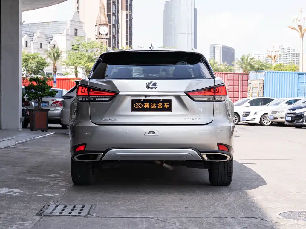 Lexus RX 300 4 WD Luxury CN-VI