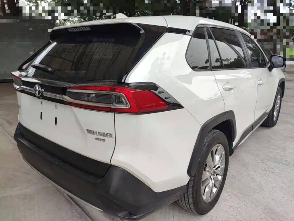 Wildlander 2.0 L CVT 4 WD Luxury