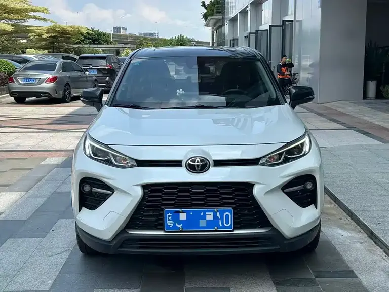 Toyota Wildlander 威兰达 2020款 2.0 L CVT两驱尊贵版