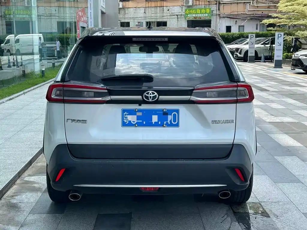 Wildlander 威兰达 2020款 2.0 L CVT两驱尊贵版