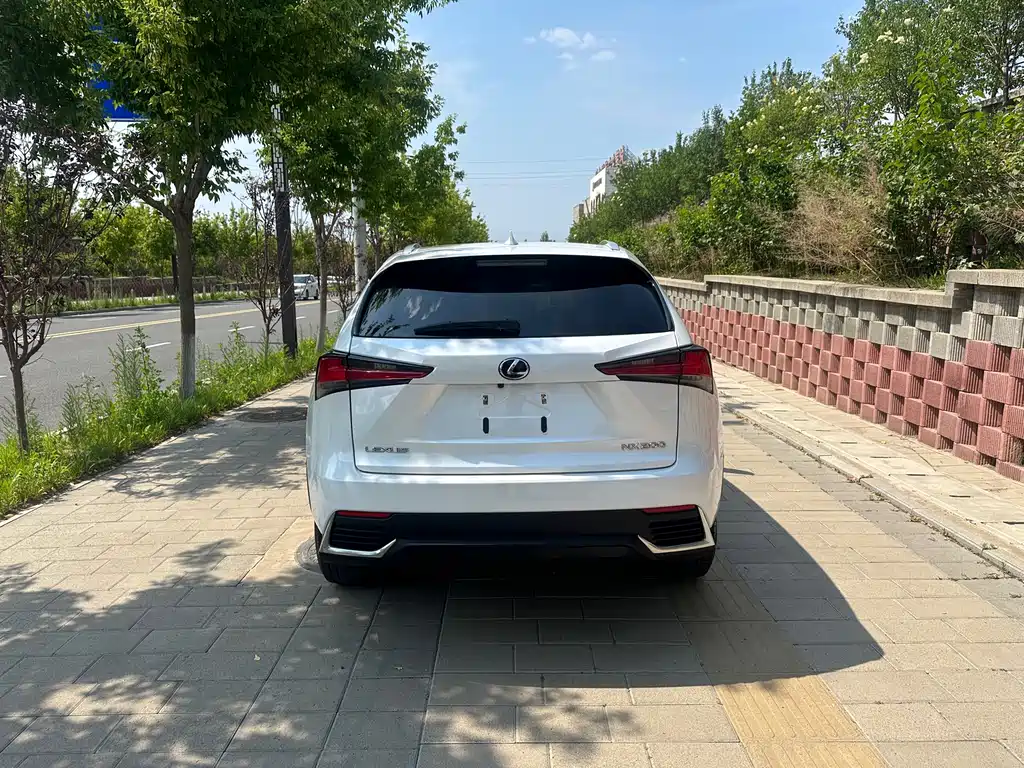 Lexus NX 200 AWD Sharp Style CN-VI