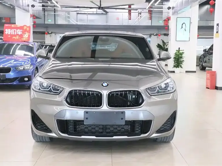 BMW X2 sDrive25 i Premium M Offroad Package
