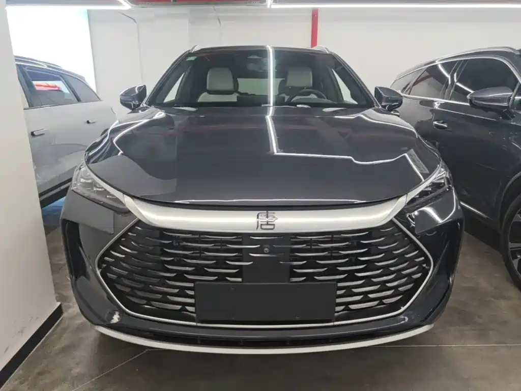 Tang NEV DM-p 215 KM 4 WD Flagship