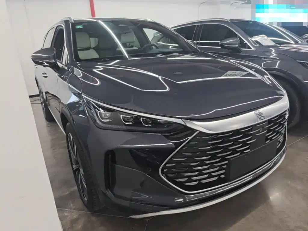 Tang NEV DM-p 215 KM 4 WD Flagship