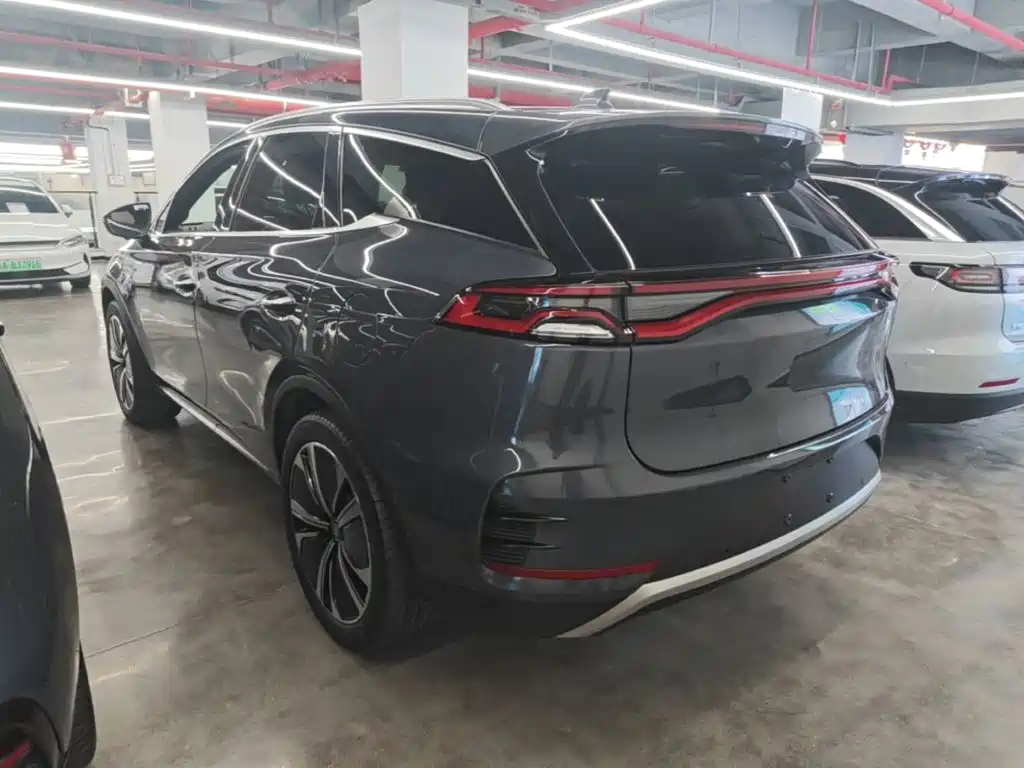 Tang NEV DM-p 215 KM 4 WD Flagship