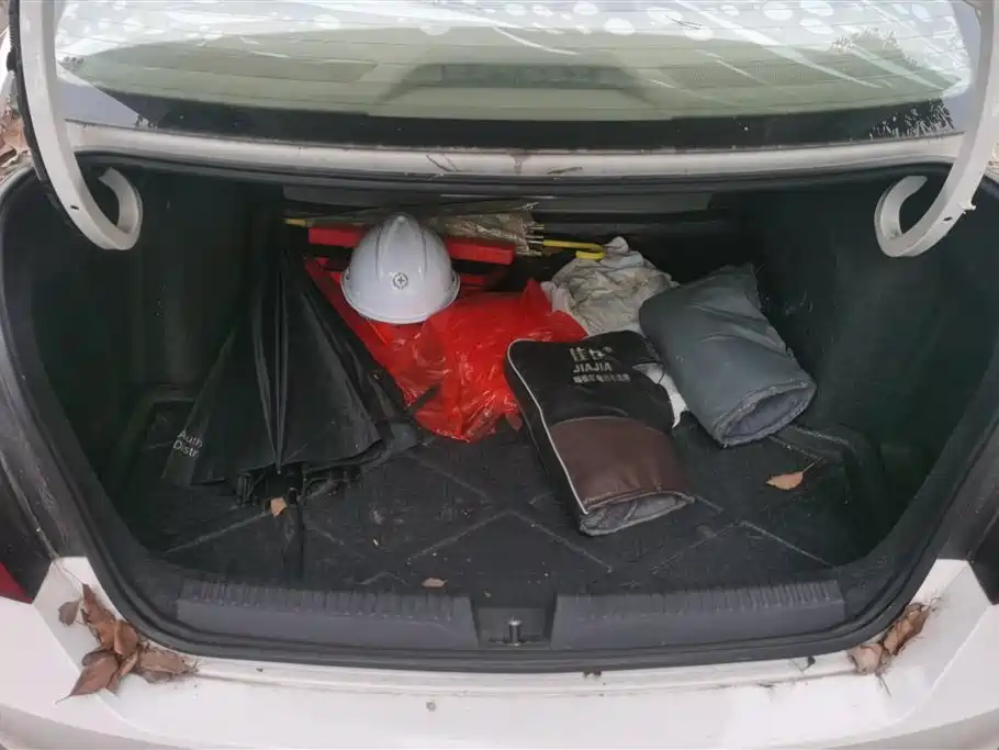 Rapid 1.6 L Manual Smart Select
