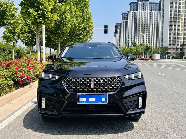 WEY VV7 2.0 T Luxury