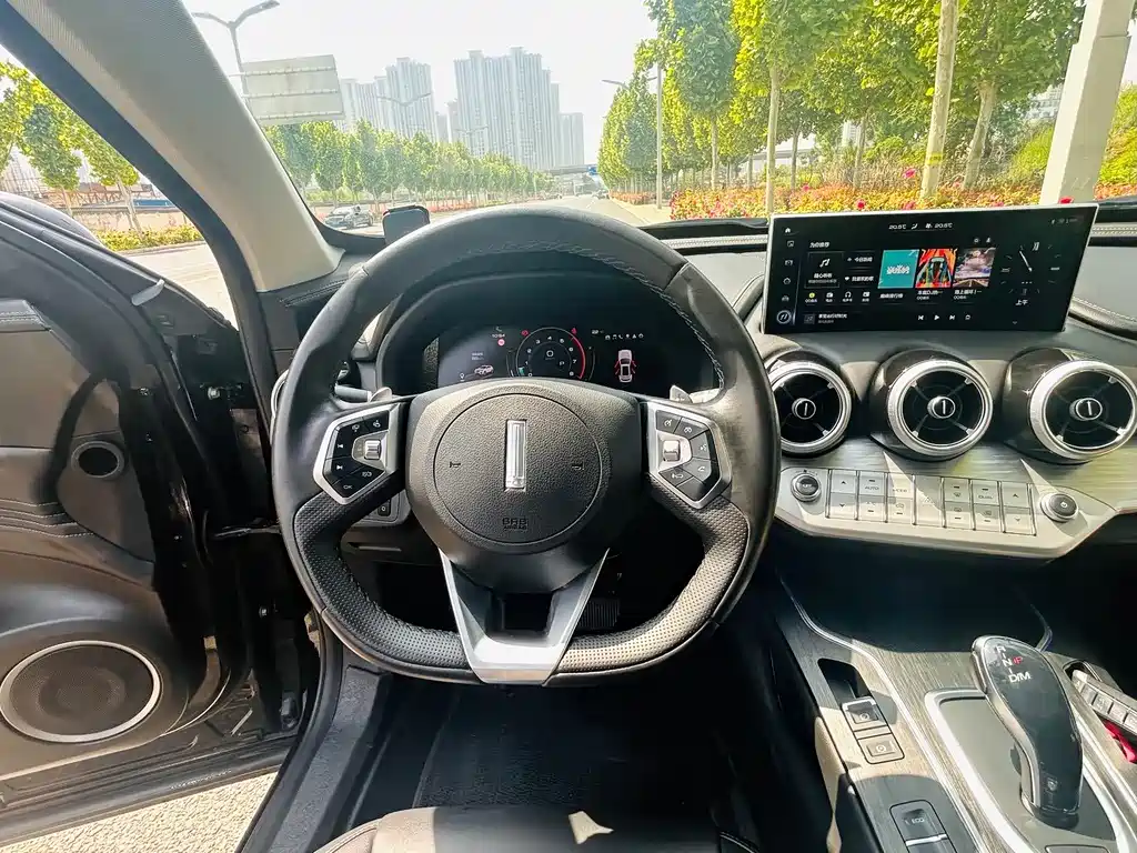 WEY VV7 2.0 T Luxury