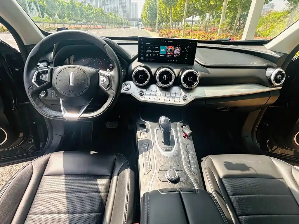 WEY VV7 2.0 T Luxury