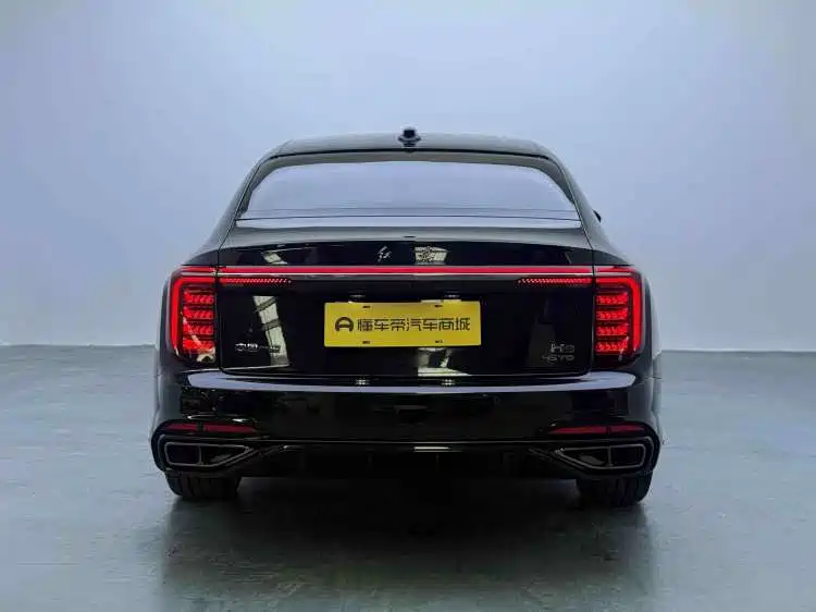 Hongqi H9 2.0 T Flagship Enjoyment Private Style