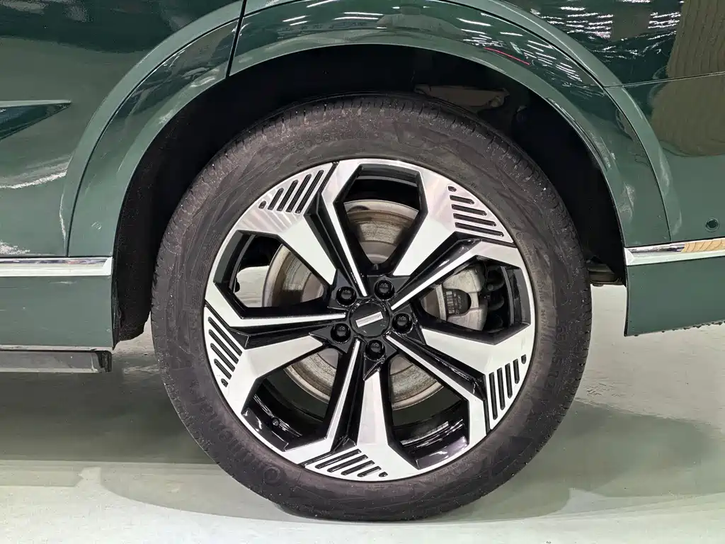 WEY Blue Mountain 4 WD Ultra Long Range