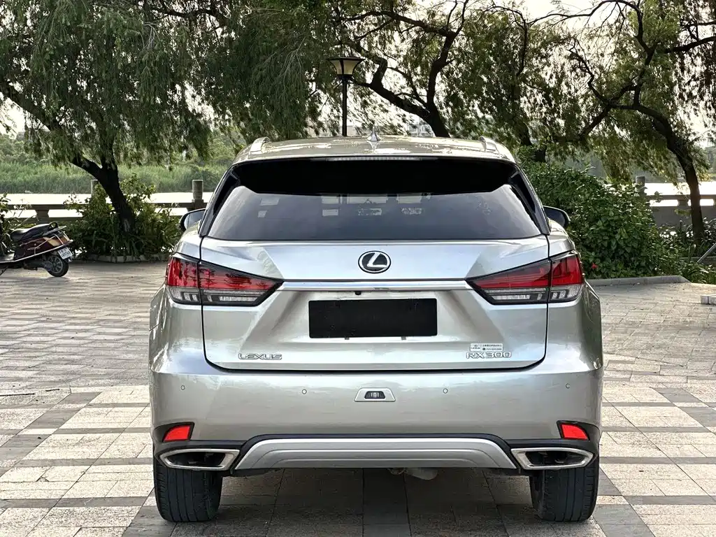Lexus RX Facelift 300 4 WD Elegant