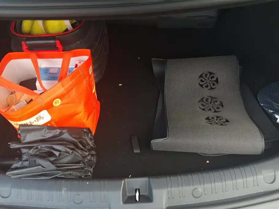 Qin L DM-i Smart Drive 80 KM Leading