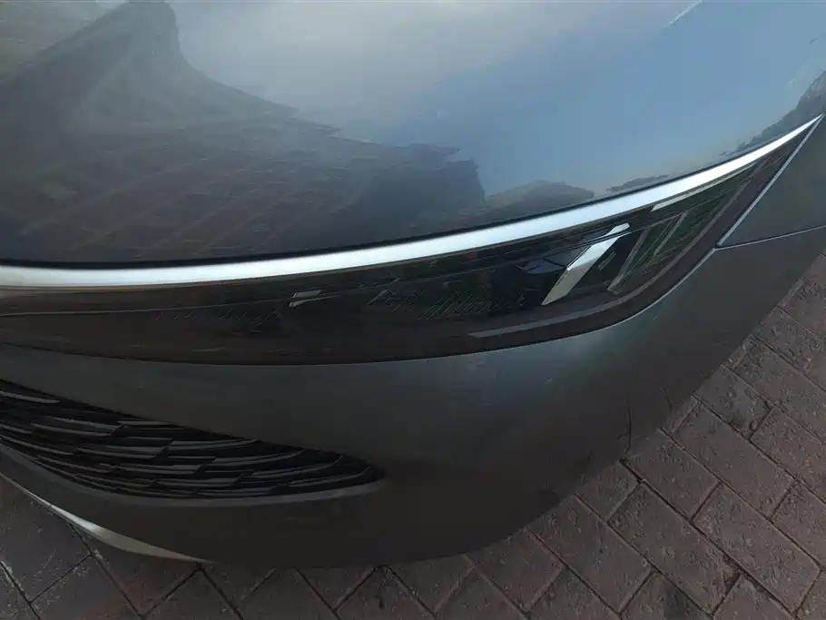 Qin L DM-i Smart Drive 80 KM Leading