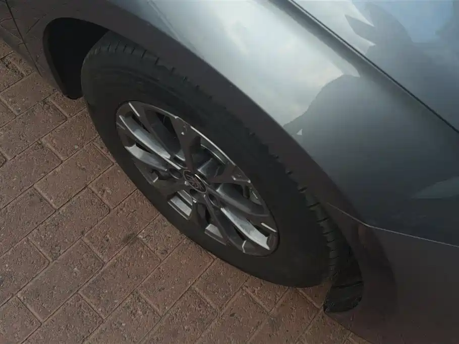Qin L DM-i Smart Drive 80 KM Leading
