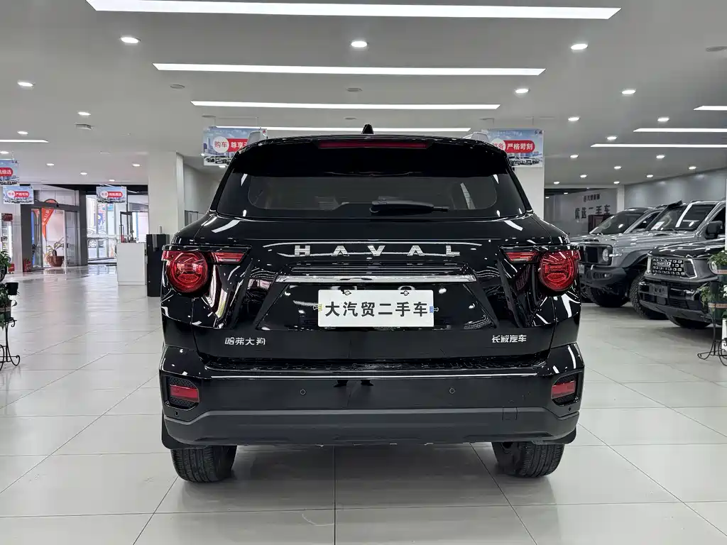 Haval Dargo PLUS 2.0 T 2 WD Trend Wild Plus