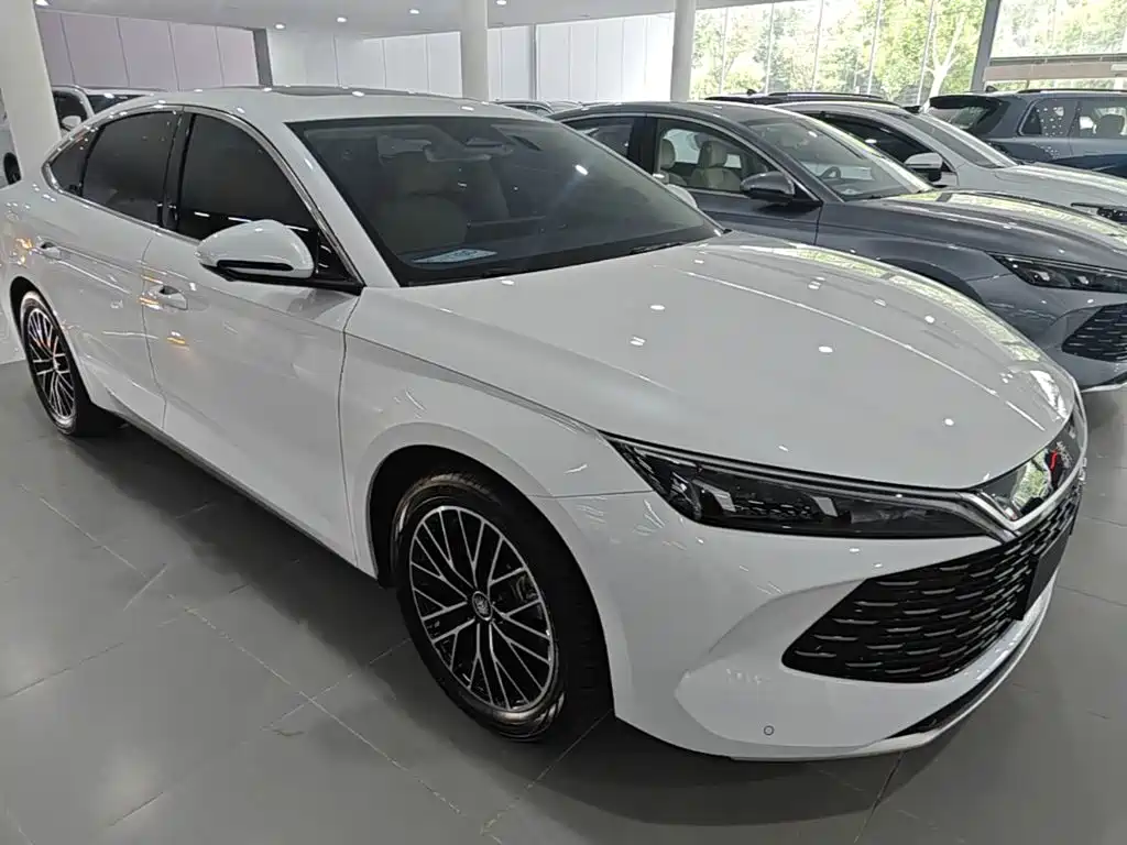 Qin L DM-i 120 KM Outstanding
