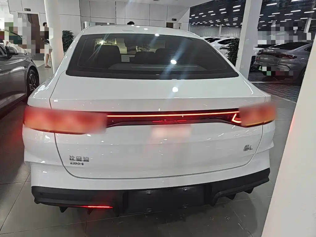 Qin L DM-i 120 KM Outstanding
