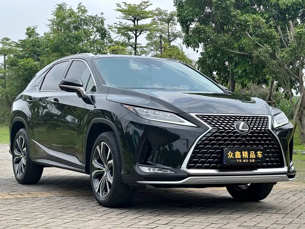 Lexus RX 300 4 WD Elegant CN-VI