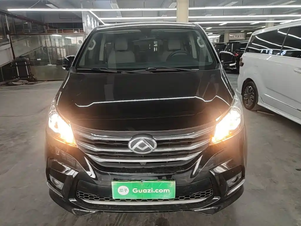 Maxus G10 2.0 T Auto Smart Enjoyment Gasoline 7-seat