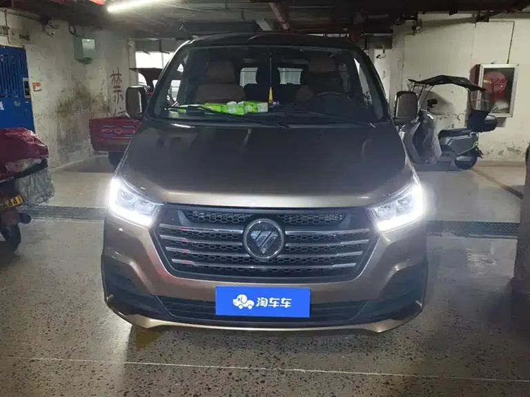Foton Fengjing G5 风景G5 2022款 2.0 L汽油商运版明窗5/6座1 TZS