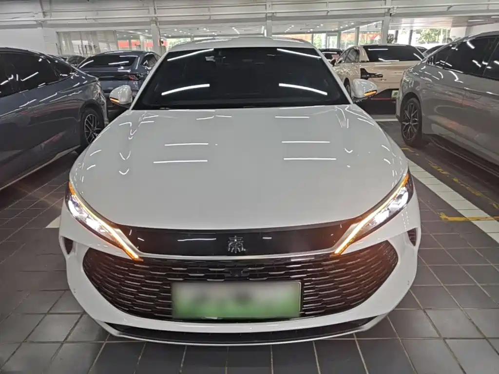 Qin L DM-i 80 KM Transcend